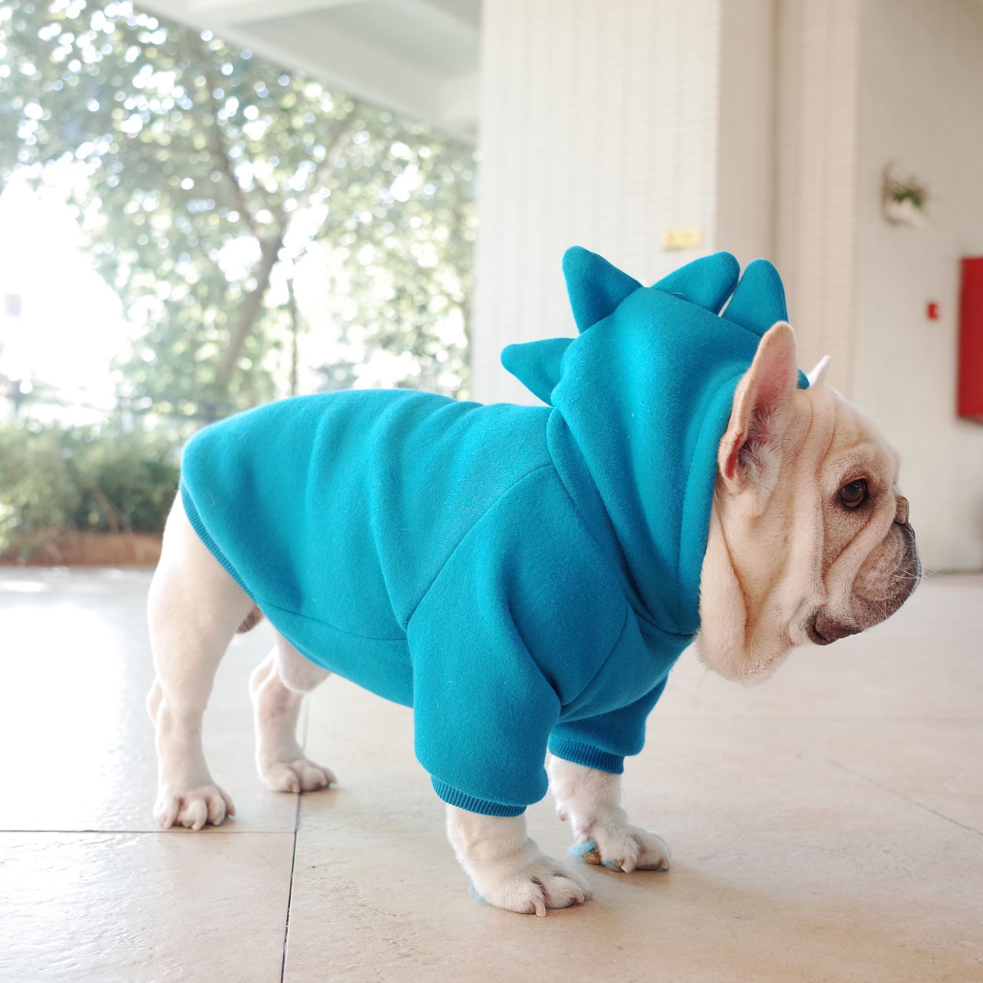 Dino Solid Hoodie
