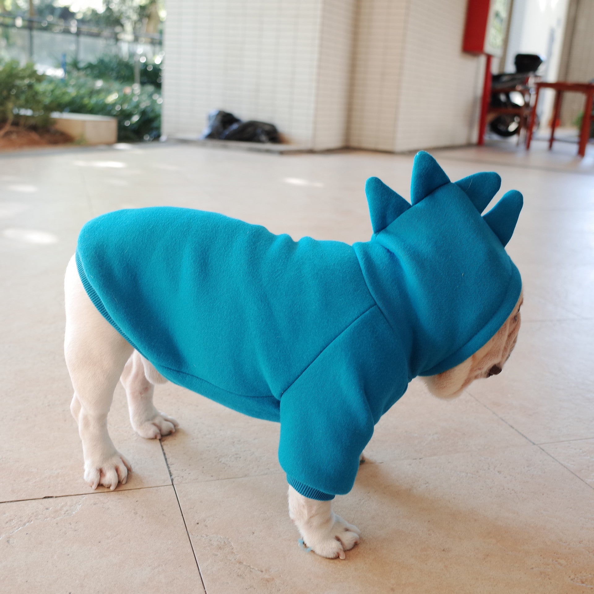 Dino Solid Hoodie