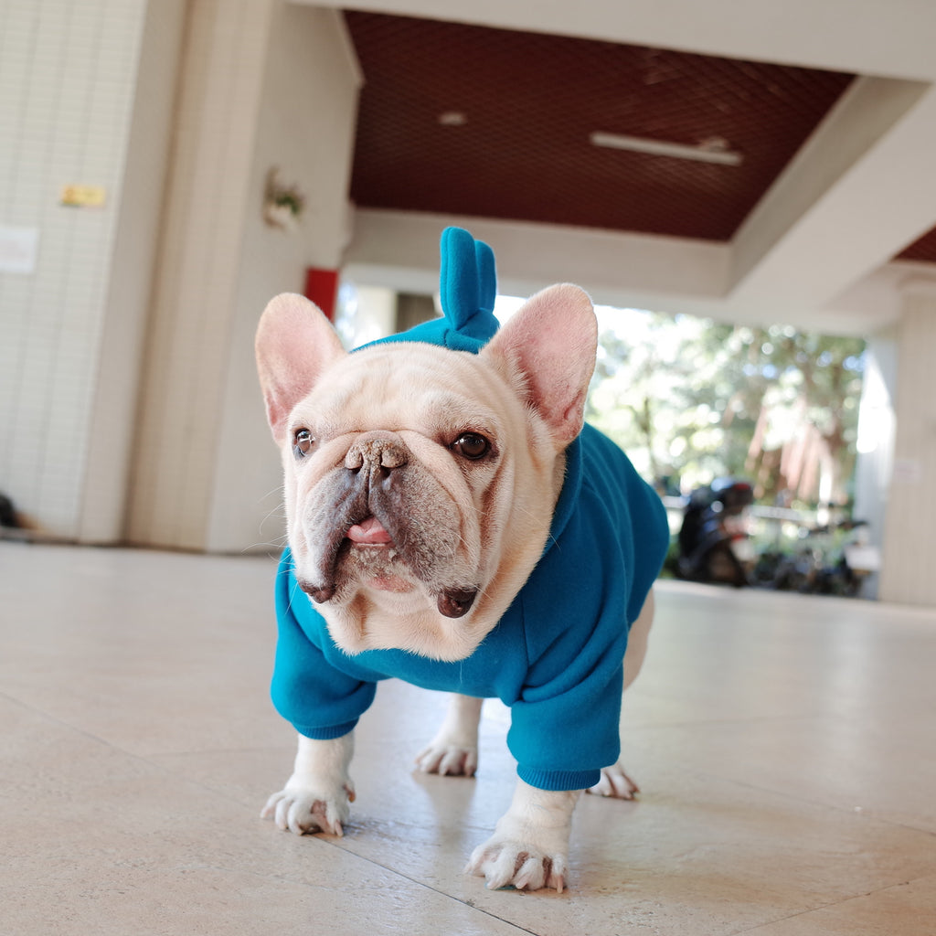 Dino Solid Hoodie
