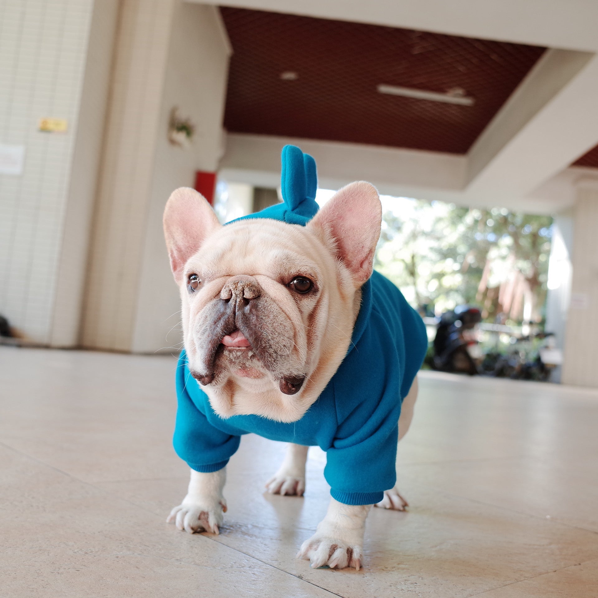 Dino Solid Hoodie