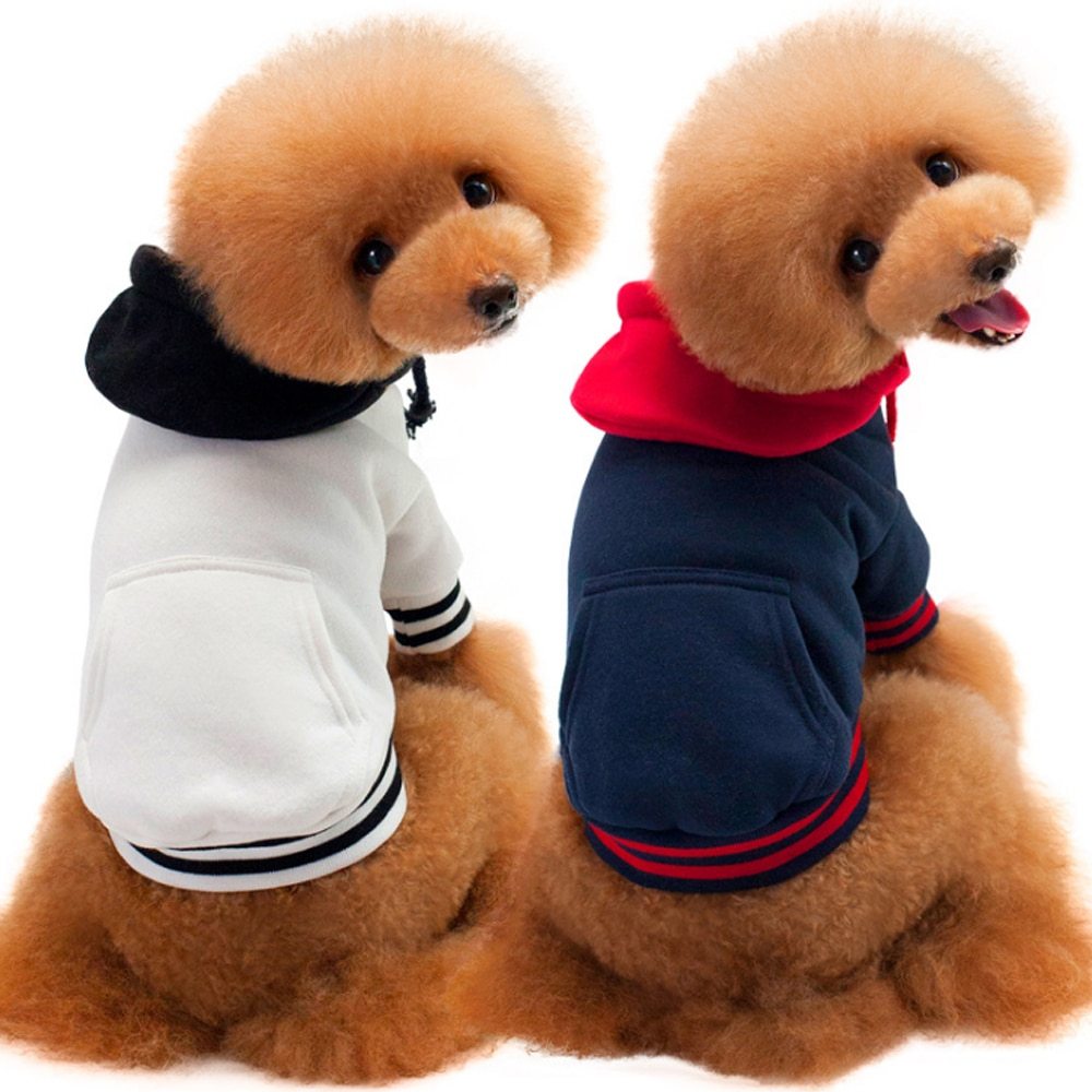 Sporty Matching Hoodies