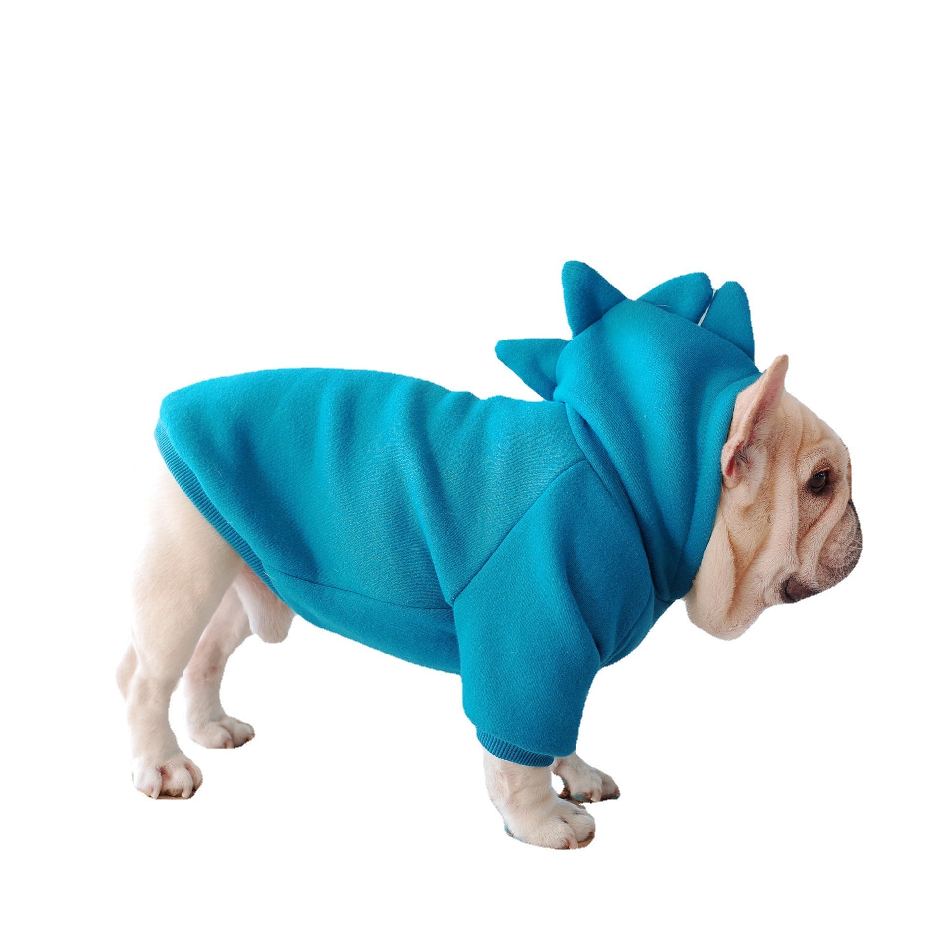 Dino Solid Hoodie