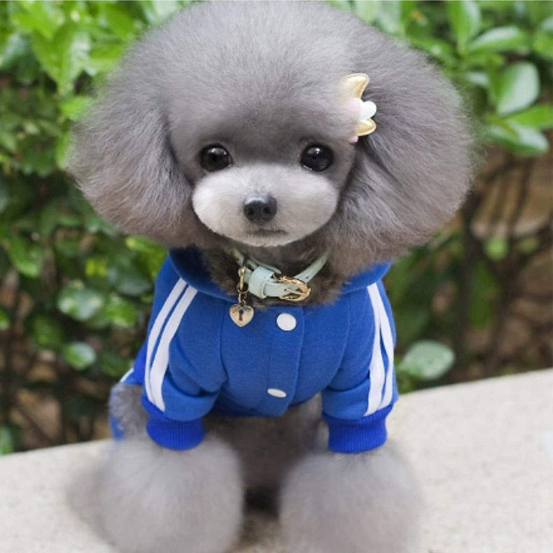 Sporty Striped Dog Hoodie
