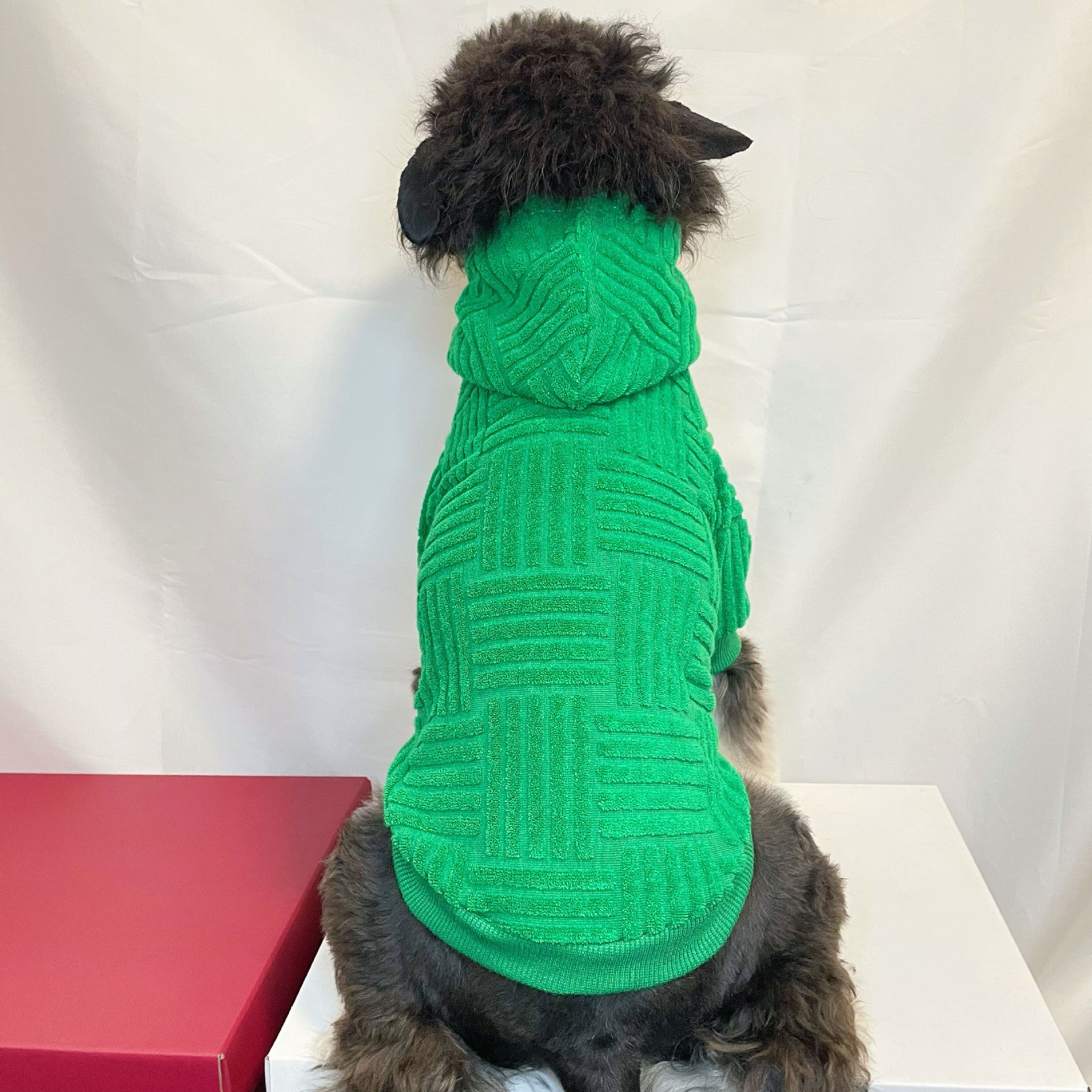 Green Terry Sweater Hoodie