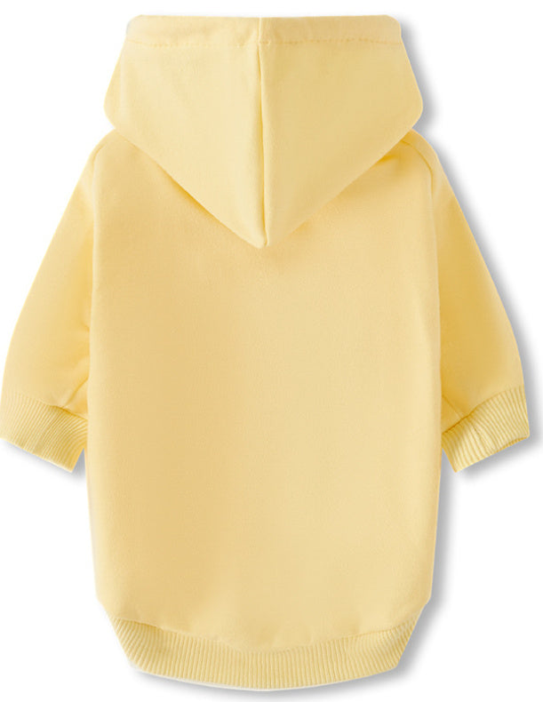 Solid Cotton Hoodie