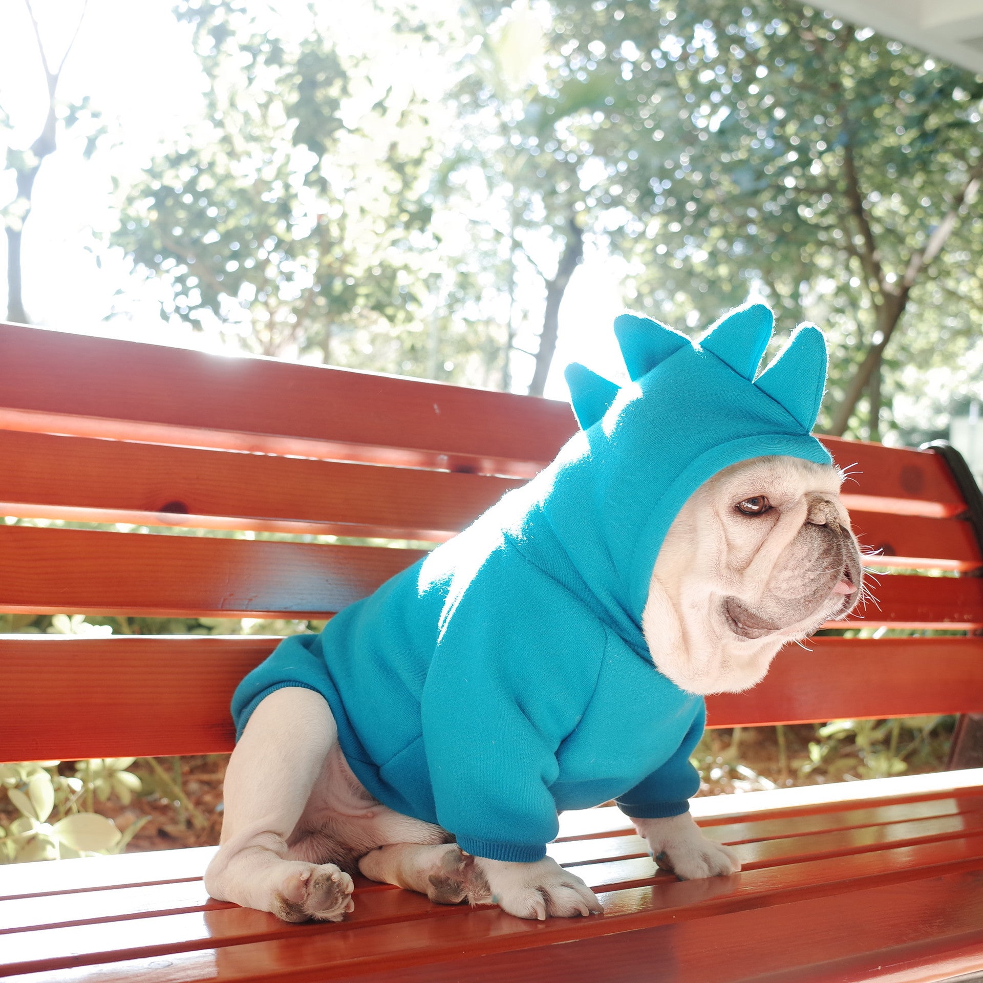Dino Solid Hoodie