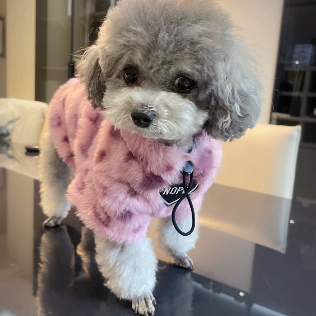 Thick Plush Dog/Cat Hoodie