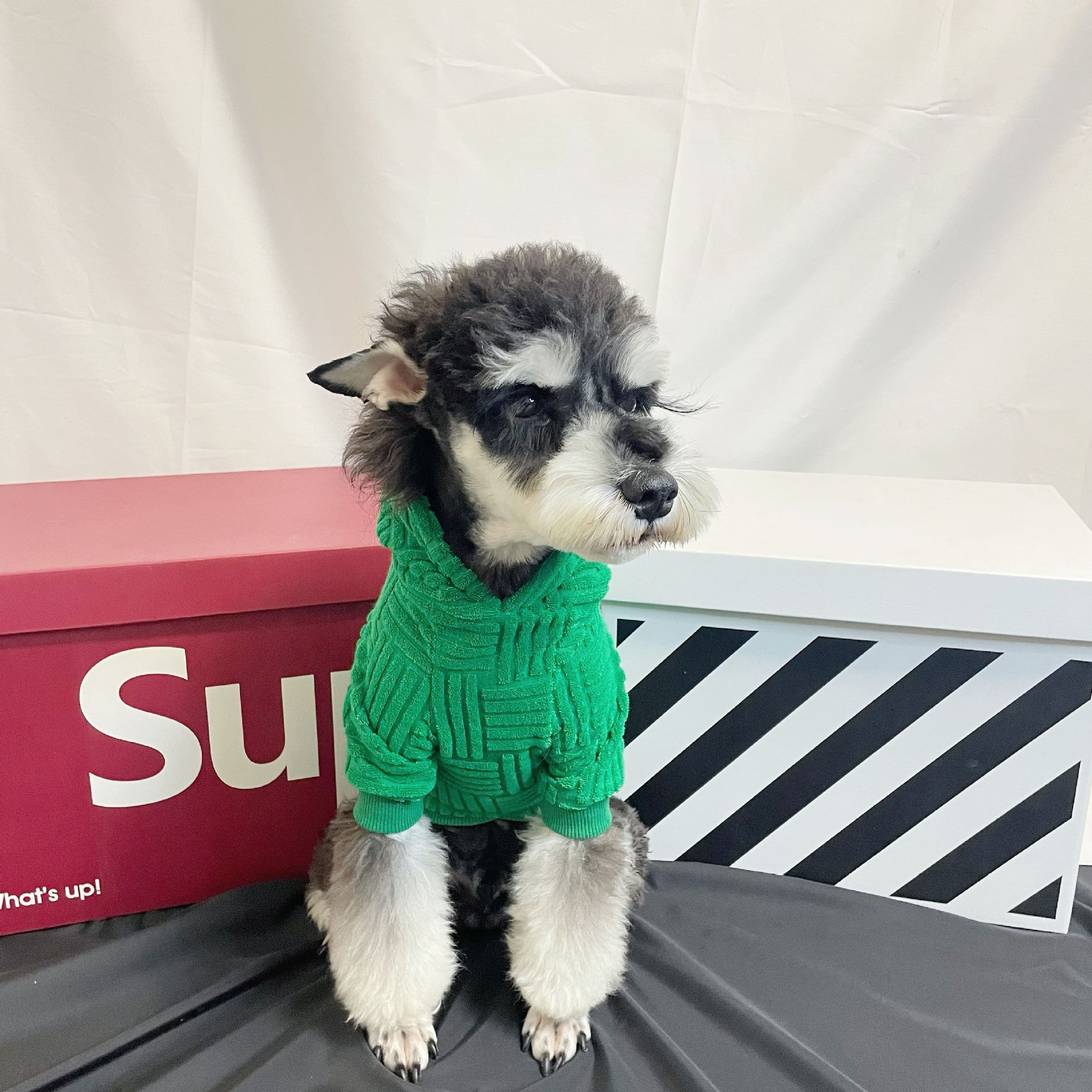 Green Terry Sweater Hoodie